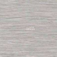 Линолеум Taralay Initial Comfort 0826 Filament Grey фото 1 | FLOORDEALER